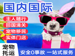襄阳刘集机场快递国际宠物托运 【国